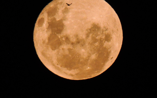 full moon at Lennox Head